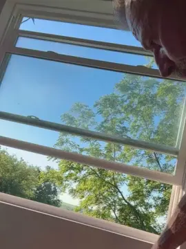Cam4 Best Webcam of vaginaslayer68