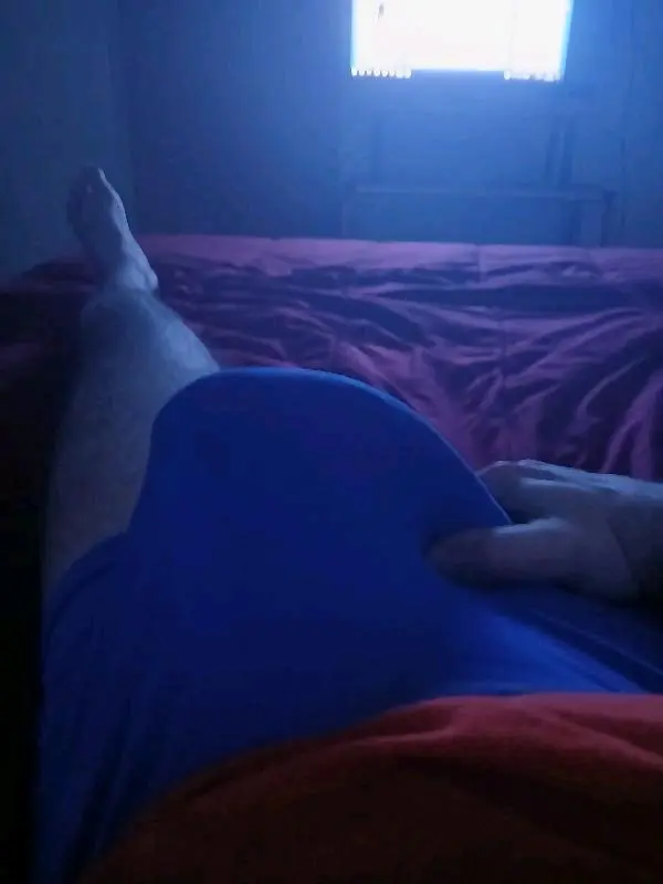 Pedrobr877