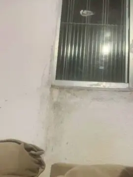 Cam4 Watch Live Sex Cams of 9vinsfd