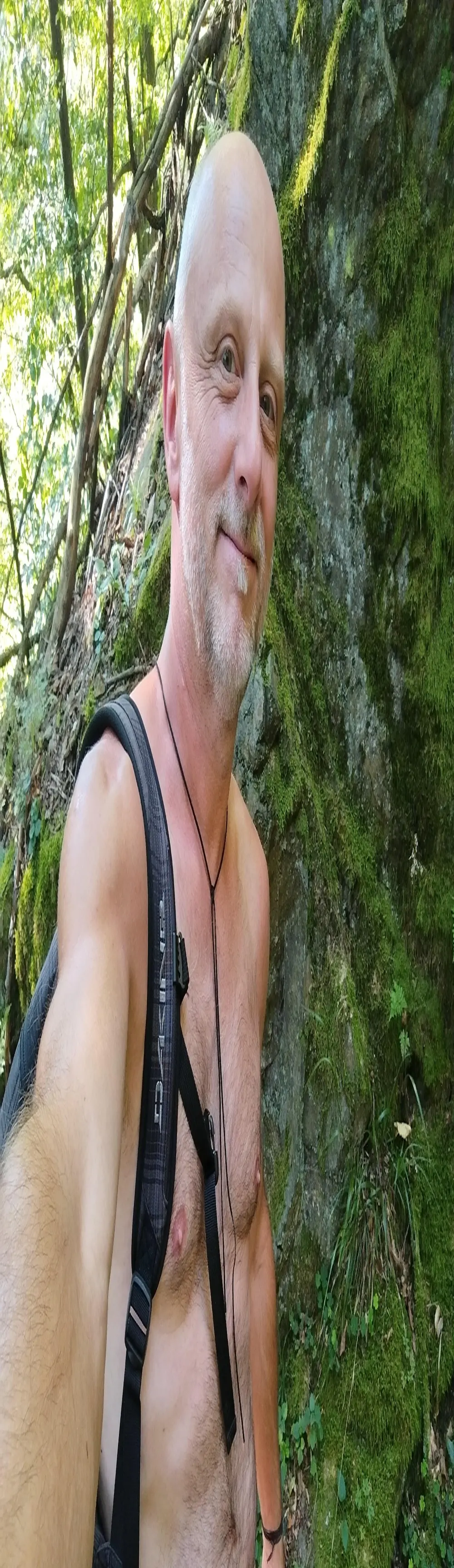 newmanbody