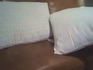 Cam4 Best live sex cam show of BrosWebsite