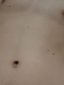 Cam4 Live Porn of NOVINHOMUDO