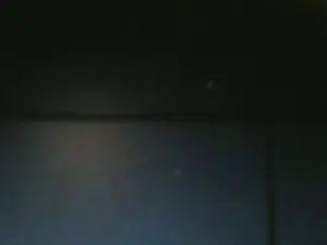 Cam4 Free Porn Cam of dfevsr