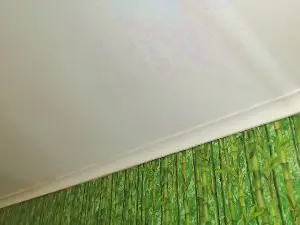 Cam4 Sex Cam of mshairys