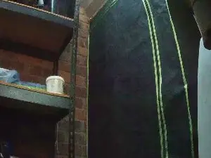 Cam4 Live Sex Cam of saggyblack