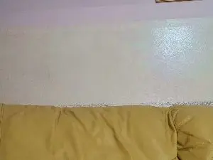 Cam4 Best Webcam of totem45