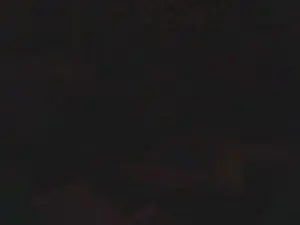 Cam4 Live Sex of lishrimpdick