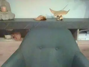 Cam4 Adult Webcam of Vaskedotad