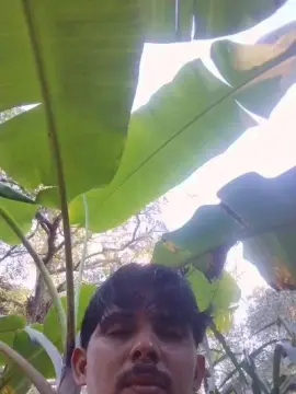 Cam4 Live Sex of Casadodotado21