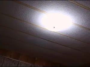 Cam4 Sex Cam of Fire_ball319