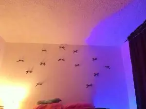 Cam4 Live Porn of sweetmoth88