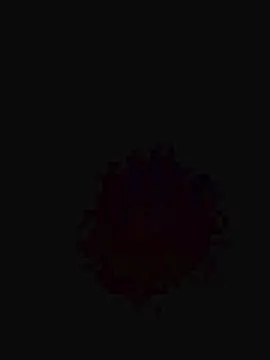 Cam4 Sex Cam of VioletaStill