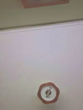 Cam4 Live Porn of parejamorbosos3