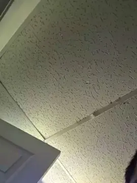 Cam4 Live Sex of Bryan42LA
