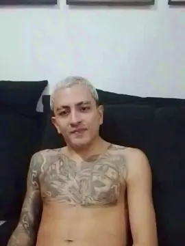 Cam4 Best Webcam of Acrioca25cm