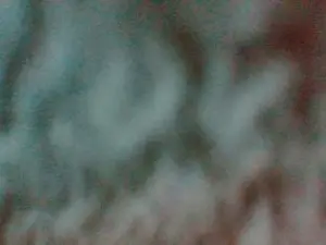 Cam4 Private Sex Chat of sebcbien42