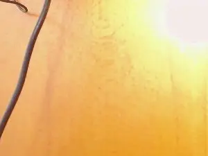 Cam4 Adult Webcam of pollonbig07