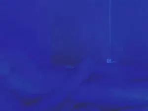 Cam4 Best Webcam of HotDereck01
