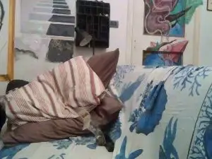 Cam4 Live Porn of SipenAt
