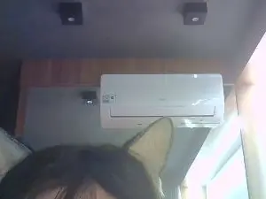 Cam4 Live Sex Cam of SkinnyKittenCam