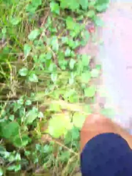 Cam4 Free Porn Cam of saarman33