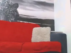Cam4 Sex Cam of alishaboobs