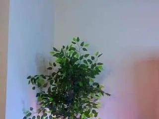 Camsoda Sex Cam of jessrosen