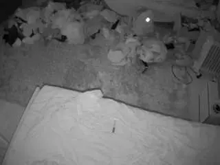 Camsoda Best live sex cam show of voyeurcam-julmodels-whitebed-5