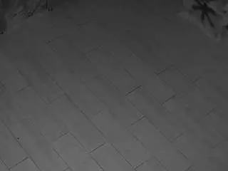 Camsoda Free Live Porn of voyeurcam-casa-salsa-panoramic