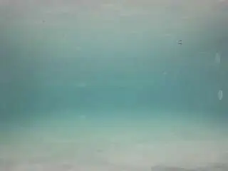 Camsoda Free Porn Cam of voyeurcam-casa-salsa-pool-1
