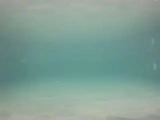 Camsoda Sex Cam of voyeurcam-casa-salsa-pool-1