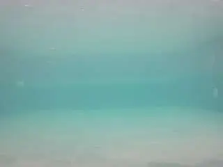 Camsoda Live Sex Cam of voyeurcam-casa-salsa-pool-1