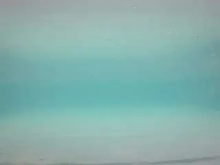 Camsoda Live Sex Cam of voyeurcam-casa-salsa-pool-1