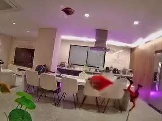 Camsoda Best live sex cam show of voyeurcam-casa-salsa-fishtank