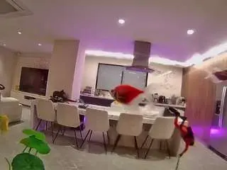 Camsoda Watch Live Sex Cams of voyeurcam-casa-salsa-fishtank