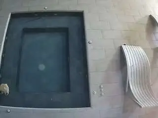 Camsoda Adult Webcam of voyeurcam-casa-salsa-hottub-view