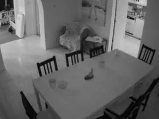 Camsoda Adult Video Chat of voyeurcam-julmodels-dining