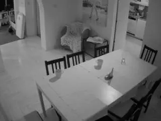 Camsoda Live Porn of voyeurcam-julmodels-dining