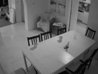 Camsoda Sex Chat of voyeurcam-julmodels-dining