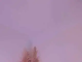 Camsoda Free Porn Cam of angeeldoll