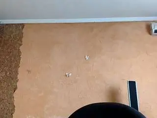 Camsoda Live Porn of dionnaseegars