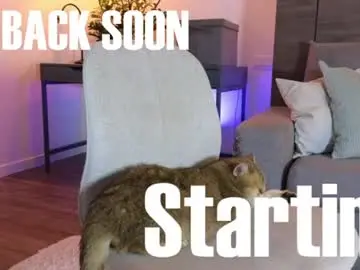 Chaturbate Sex Cam of sultryandrewww