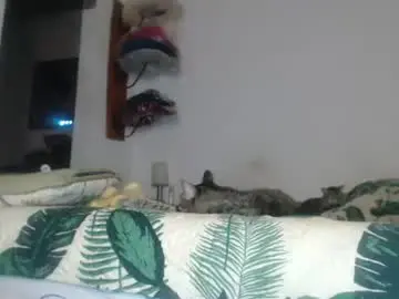 Chaturbate Nude Webcam of camila_bigcock_ts