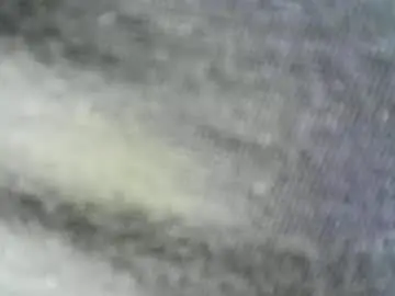 Chaturbate Best live sex cam show of felicaste