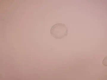 Chaturbate Live Sex of abby_me