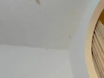 Chaturbate Free Porn Cam of marie_pourtoi