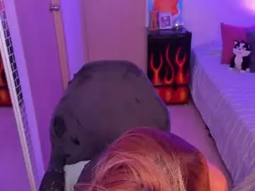 Chaturbate Sex Cam of rot_wallace