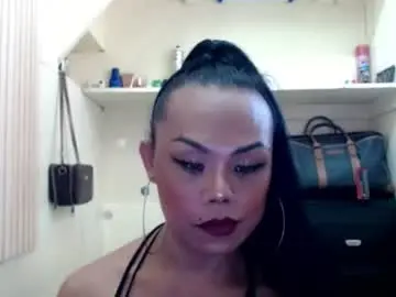Chaturbate Adult Webcams of lady_shane26