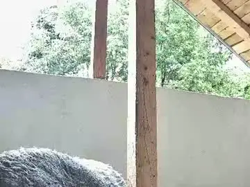 Chaturbate Adult Webcam of anaworld69