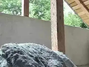 Chaturbate Adult Webcam of anaworld69